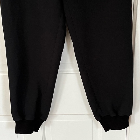 ARITZIA Wilfred Buffon Pant Jogger Black with Stripe Down Sides Womens Medium - Picture 4 of 14